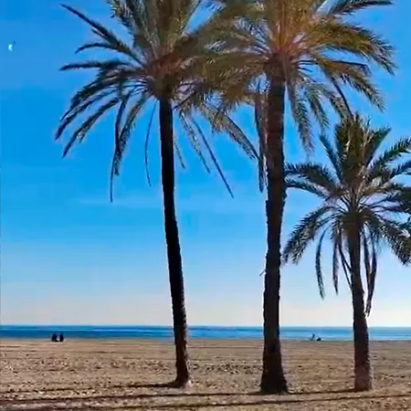 Apartment Primera Linea De Playa *